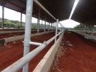 FAZENDA GERIBA - ILICINEA - MG